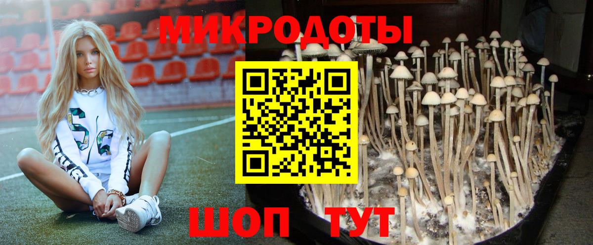 Галлюциногенные грибы MAGIC MUSHROOMS Сальск